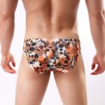 Fire Skull Bikini Brief Back